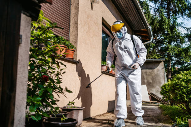 Best Flea Control Services  in Nixon, TX