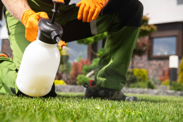 Best Termite Control Services  in Nixon, TX