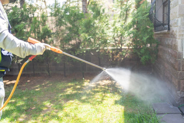 Best Insect Control  in Nixon, TX