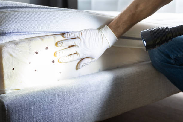 Best Pest Inspection Near Me  in Nixon, TX