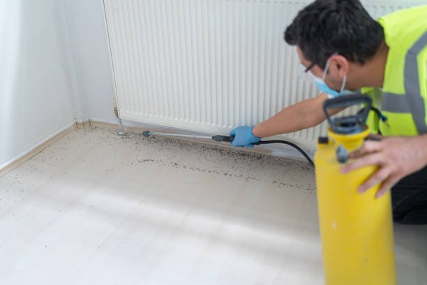 Best Exterminator Services  in Nixon, TX